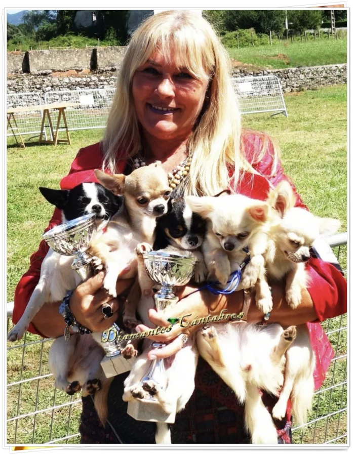 Rosa con cachorros y trofeos de exposición — Diamantes Cántabros