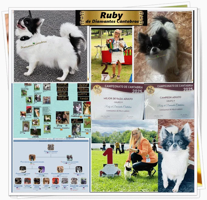 Ruby de Diamantes Cántabros, Campeona de Cantabria 2025
