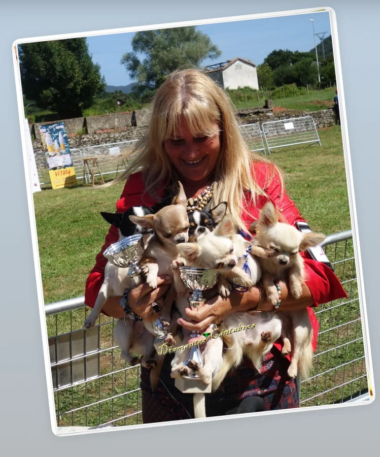 Rosa con sus chihuahuas y trofeos en exposición canina